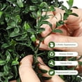 thumbnail image 2 of EastVita Artificial Boxwood Topiary Trees - Cone Shape Fake Plant with Modern Black Planter-5FT Faux Outdoor Plants for Indoor Front Porch Plants Set of 2, 2 of 8