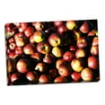 thumbnail image 1 of Gango Home Decor Apples by Alan Hausenflock (Ready to Hang); One 36x24in Hand-Stretched Canvas, 1 of 4