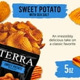thumbnail image 2 of TERRA Sea Salt Wavy Sweet Potato Snack Chips, 5 oz, 2 of 7