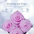 thumbnail image 5 of Otuo Preserved Roses in Gift Box, Real Eternal Rose Flower Gifts for Girlfriend, Mom, Women, Wife, Birthday Anniversary and Valentine's Day (Pink), 5 of 8
