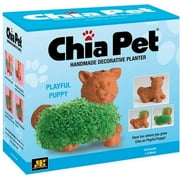 As Seen on TV Chia Playful Puppy