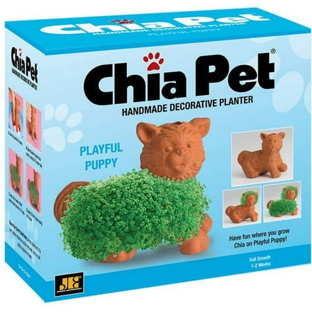 As Seen on TV Chia Playful Puppy