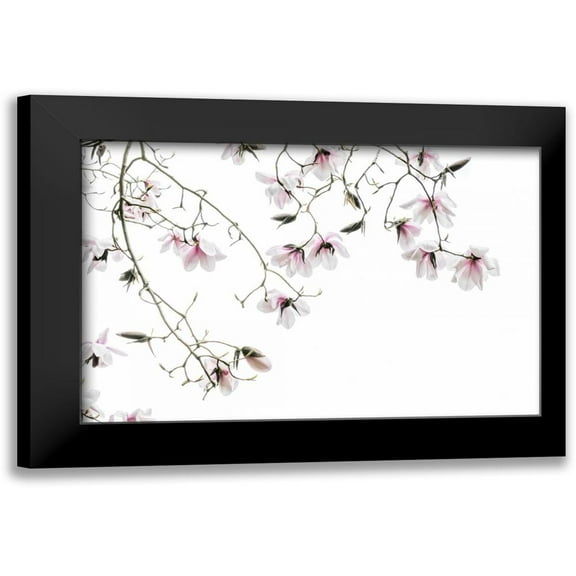 Mahan, Kathy 14x11 Black Modern Framed Museum Art Print Titled - Bainbridge Magnolias I
