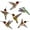 CBCJD203, variant on Bird Friendly Window Decals Static Electricity Stickers for Safety & Home Beautification Protect Bird and Beautifys