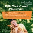 thumbnail image 6 of Credelio Quattro / Credelio Quattro-CA1 Dog Flea & Tick Treatment + Heartworm & Parasite Coverage, 6.1-12 lbs (6 Chewable Tablets), 6 of 11