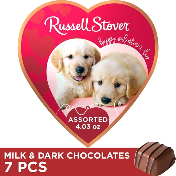 Russell Stover Valentine's Day Puppy Love Assorted Milk & Dark Chocolate Candy Heart Gift Box, 4.03 oz.