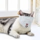 thumbnail image 1 of Bozal de gato para aseo, protector facial de tamaño ajustable, antimasticación, antimordedura para bañarse, belleza después de la cirugía, recorte de S Coberturas Completas, 1 of 8