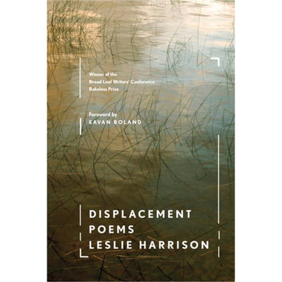 Pre-Owned Displacement (Paperback) 0547198426 9780547198422