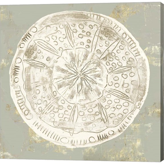 Cone Shells III by Aimee Wilson, Canvas Wall Art, 12W x 12H