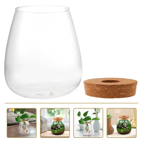 MUSEYA Multi Glass Terrarium Jar Plants Container 1Set Multi Glass Ideal For DIY Enthusiasts