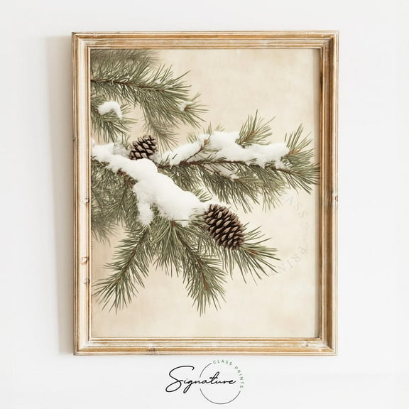 Snowy Fir Branch With Pinecones, Vintage Winter Botanical Art, Rustic Cottagecore Nature Decor, Winter Holiday Wall Poster, Home Decor UNFRAMED Poster, Wall Art for Decor, Present, 8x12