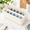 White+Blue-Large, variant on White+Pink Large Plastic Art Supply Storage Crate with Handle and Dividers