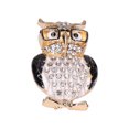 thumbnail image 3 of Broche de Búho Gafas de Diamantes de Imitación aleación Personalidad Regalo de Goteo de Aceite Gafas de Animales Joyería Broche de Búho de Anteojos ANGGREK Otros, 3 of 8