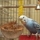 thumbnail image 3 of Nido de pájaro, nido de paja para jardín, jaulas, juguete para cacatúas, juguetes para loros, casa para hámster, cáscara de coco., 3 of 6