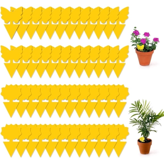 48 Pack Sticky Fruit Fly Traps and Fungus Gnat Trap Killer for Indoor Outdoor, House Plant Trap for Fruit Flies, Flying Insects