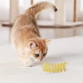 thumbnail image 6 of Cat Spring Toy, Colorful Spring Toys for Cats - Playful Coils Made of Plastic for Swatting, Biting, Hunting, and Active Play, 6 of 9