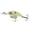 Spanish Bone, variant on 6th Sense Fishing Curve 55 Medium Diving Crankbait