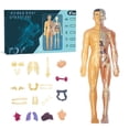 thumbnail image 1 of IMENGL Encourages Interactive Learning And Critical Thinking As Children Piece Together The Structure And Place The In Their Correct Positions. Activities for Toddlers 1-3,Toddler Magnets for Refrig, 1 of 9