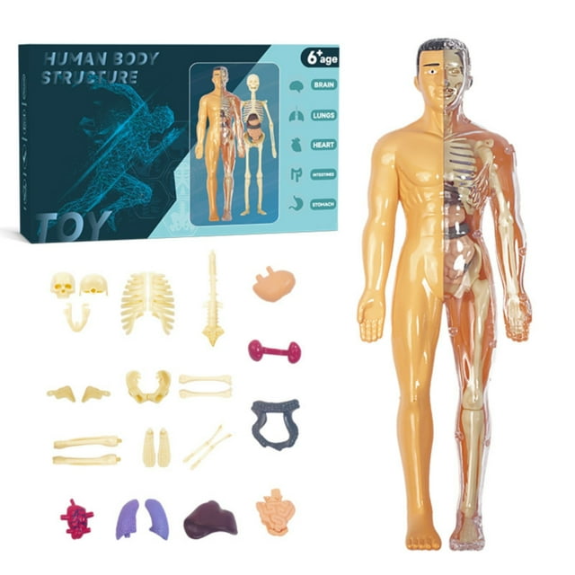 IMENGL Encourages Interactive Learning And Critical Thinking As Children Piece Together The Structure And Place The In Their Correct Positions. Activities for Toddlers 1-3,Toddler Magnets for Refrig