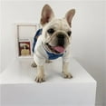thumbnail image 6 of Coloody Tiktok Dog Denim Overalls for Small Medium Large Dogs Cats, 6 of 7