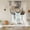 Charcoal Black, variant on Grey Abstract Art Tie Up Curtains 45 Inches Long, Kitchen Window Curtains Over Sink, Contemporary Luxury Aesthetics Small Window Curtains Shade Balloon Curtains Valances for Bedroom/Cafe 34"x45"