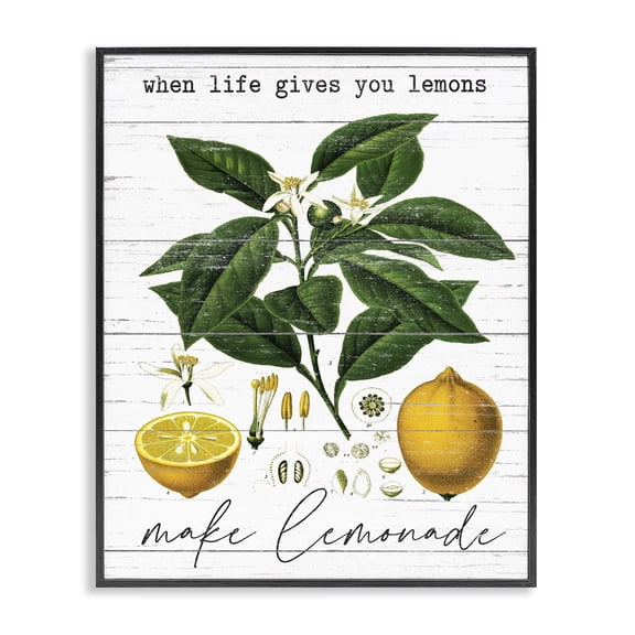 Stupell Industries Cottage Life Gives Lemons Country Fruit Black Framed Giclee Art, 11 x 14, by Lettered and Lined