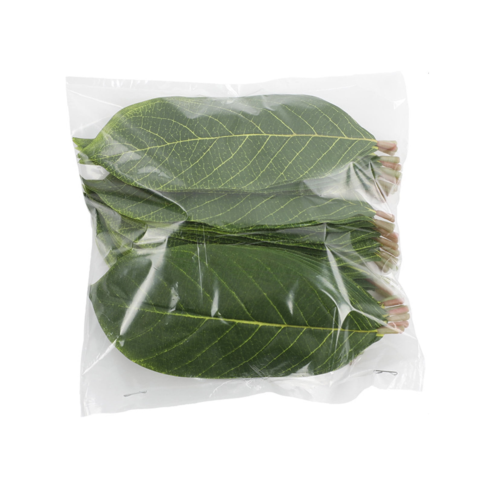 BYDOT Magnolia Leaves Artificial Greenery Fake Magnolia Leaves for DIY