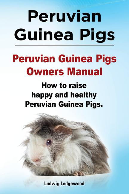 Peruvian Guinea Pigs Peruvian Guinea Pigs Owners Manual How To Raise Happy And Healthy Peruvian Guinea Pigs Walmart Com Walmart Com