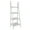 White, variant on Fionafurn 4-Tier 44'' Ladder Shelf Bookshelf Bookcase Storage Display Plant Leaning Shelf Black