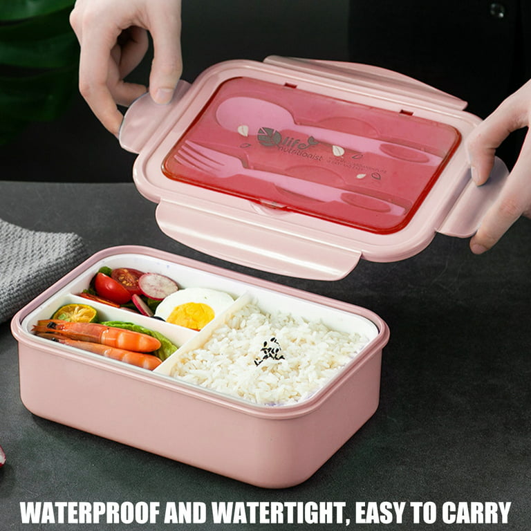 Hot Lunch Containers School  Lunch Boxes Girls Compartments - Lunch Box  Container - Aliexpress
