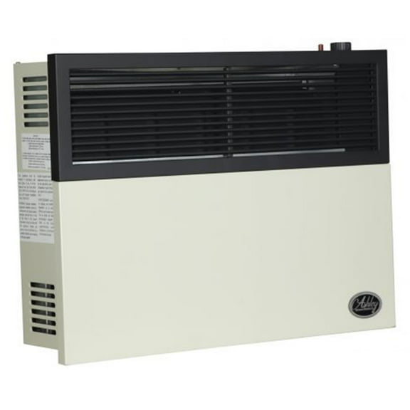 Ashley Hearth Products 17,000 BTU Direct Vent Buddy Propane Wall Mount Heater