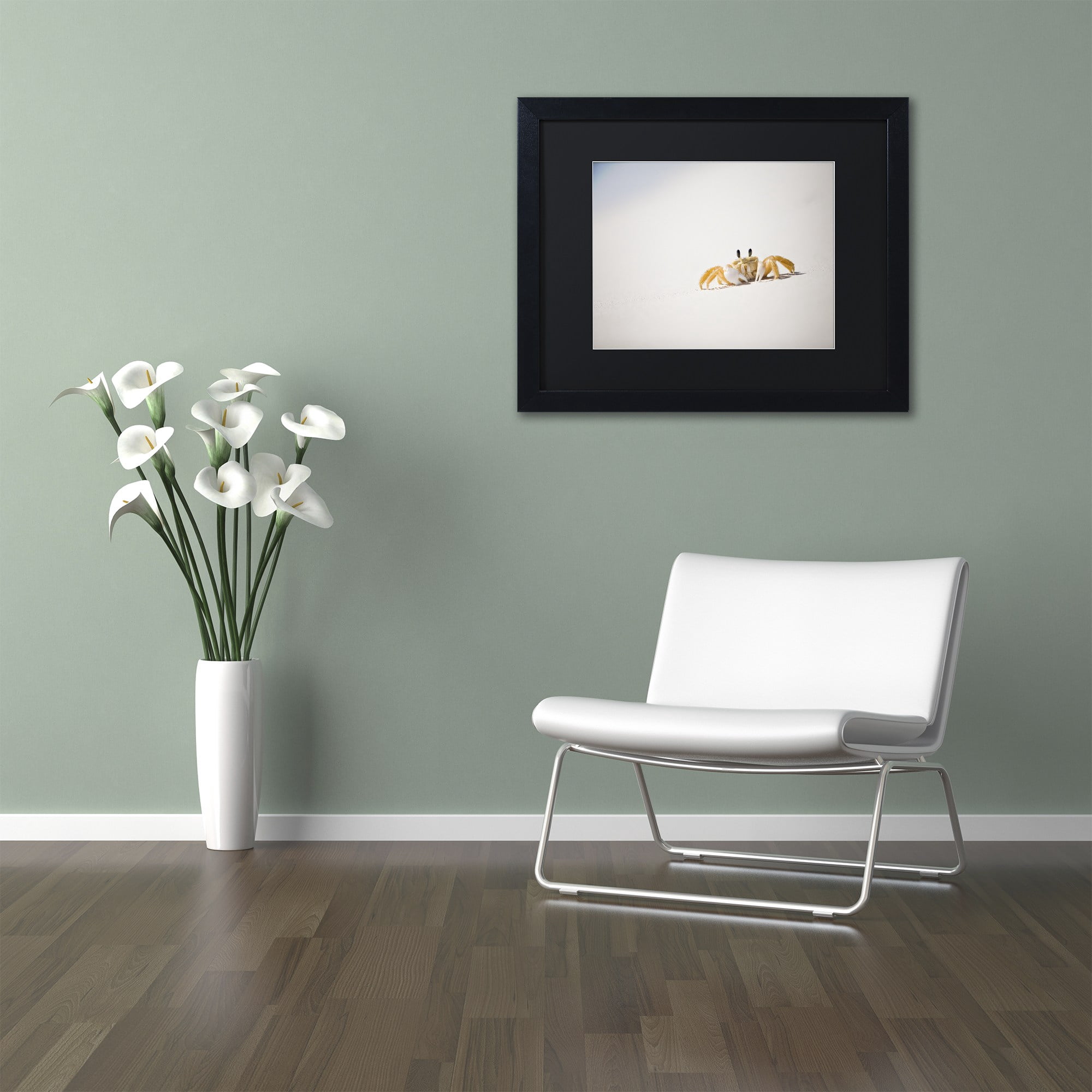 Trademark Fine Art "Ghost Crab 7" Canvas Art by Yale Gurney, Black Matte, Black Frame