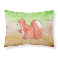 thumbnail image 1 of s Treasures Squirrel Watercolor Pillowcase Standard Multicolor Caroline's Treasures  BB7431PILLOWCASE, 1 of 1