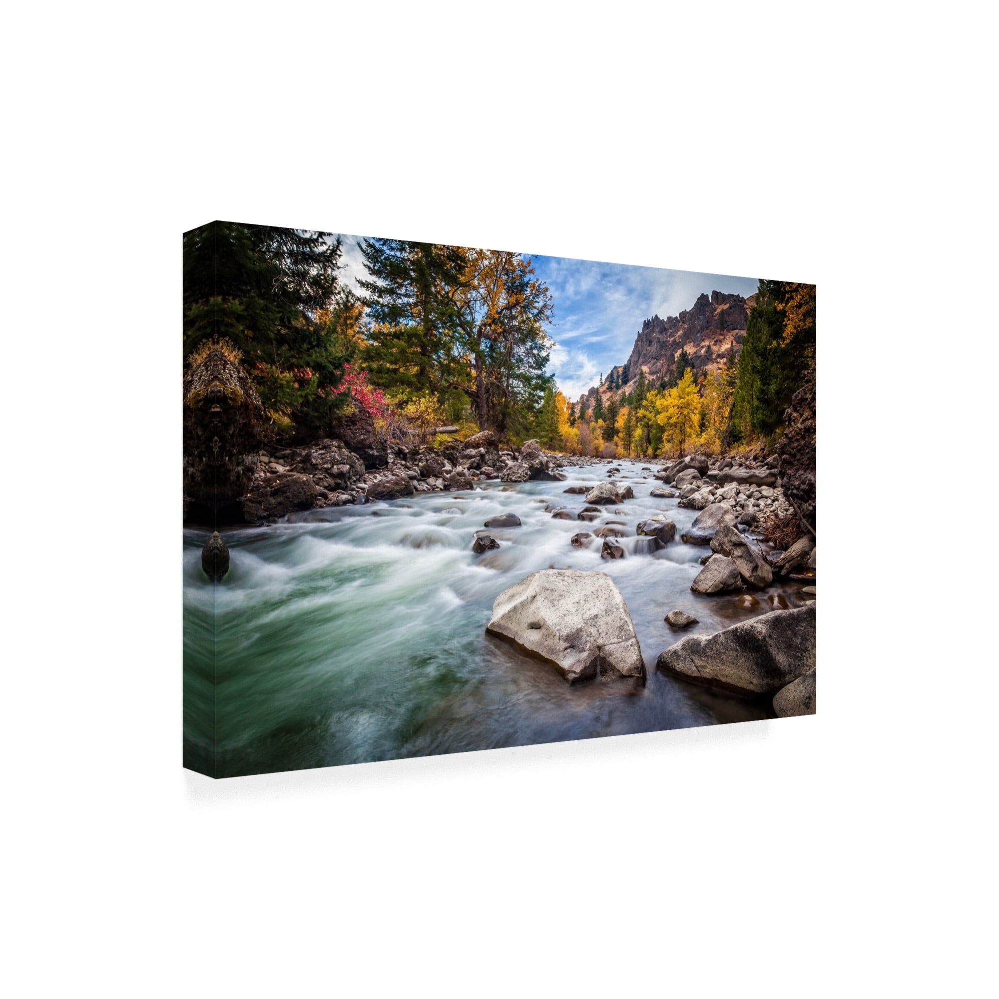 Trademark Fine Art 'Teton River Rush' Canvas Art by Michael Broo