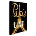 thumbnail image 2 of Trademark Fine Art 'Paris Love' Canvas Art by Lisa Powell Braun, 2 of 3