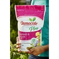 thumbnail image 3 of Osmocote Plus Outdoor and Indoor Smart-Release Plant Food, 8-Pound (Plant Fertilizer), 3 of 4