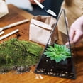 thumbnail image 4 of Musgo artificial, musgo falso, musgo verde, musgo sintético, decoración con musgo, manualidades con musgo decorativo, musgo para plantas, 4 of 7