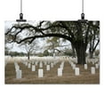 thumbnail image 2 of Print: Magnolia Cemetery, Mobile, Alabama, 2010, 2 of 4