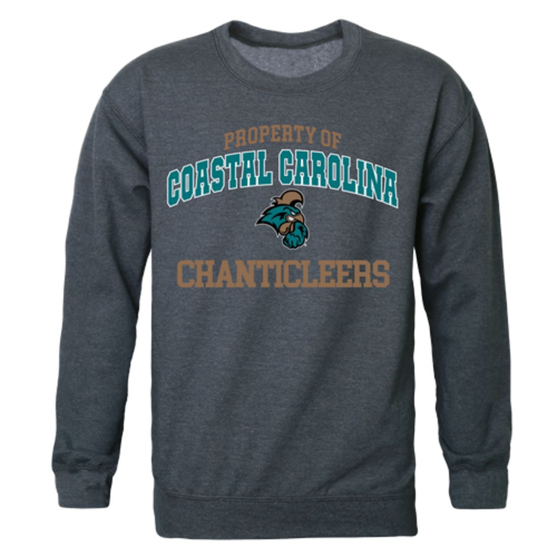 coastal carolina crewneck