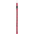 thumbnail image 1 of Tampa Bay Buccaneers Lanyard With Neck Safety Latch, 1 of 1