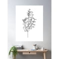 thumbnail image 2 of Simple Silver Dollar Eucalyptus Line Drawing Poster Wall Art, Modern Wall Decor For Living Room Bedroom, 12x18 UNFRAMED, 2 of 3