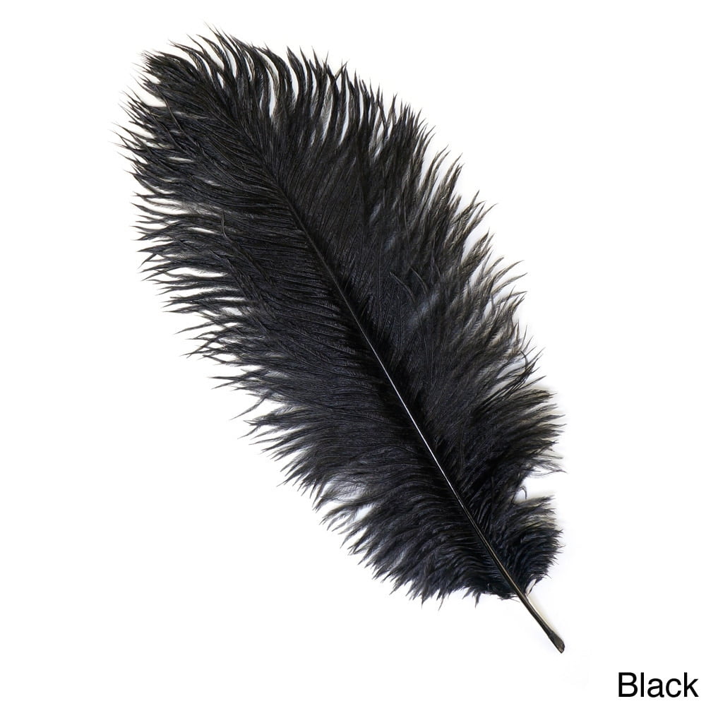 Zucker Feather Products Ostrich Feathers Drabs Selected 13 16