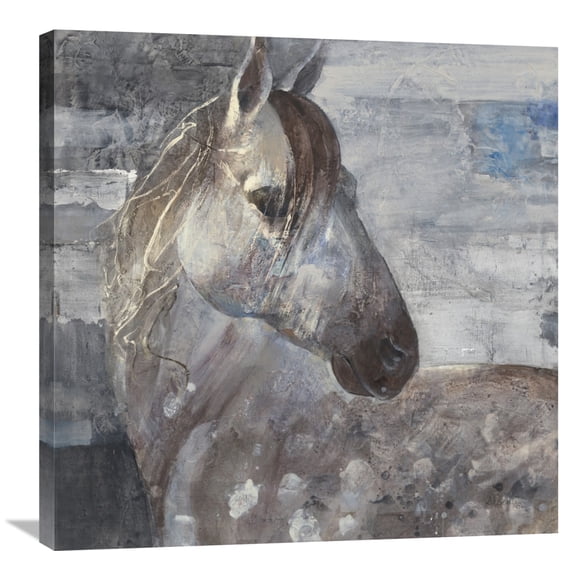 Global Gallery Albena Hristova 'Appaloosa' Canvas Wall Art
