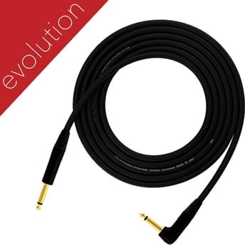 Pro Co Evolution Studio/Stage Straight - Angle Instrument Cable 25 ft.