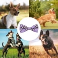 thumbnail image 5 of Empate de Huxley y Kent | | Accesorio para collar de mascota con lazo de rejilla azul/verde, 5 of 5