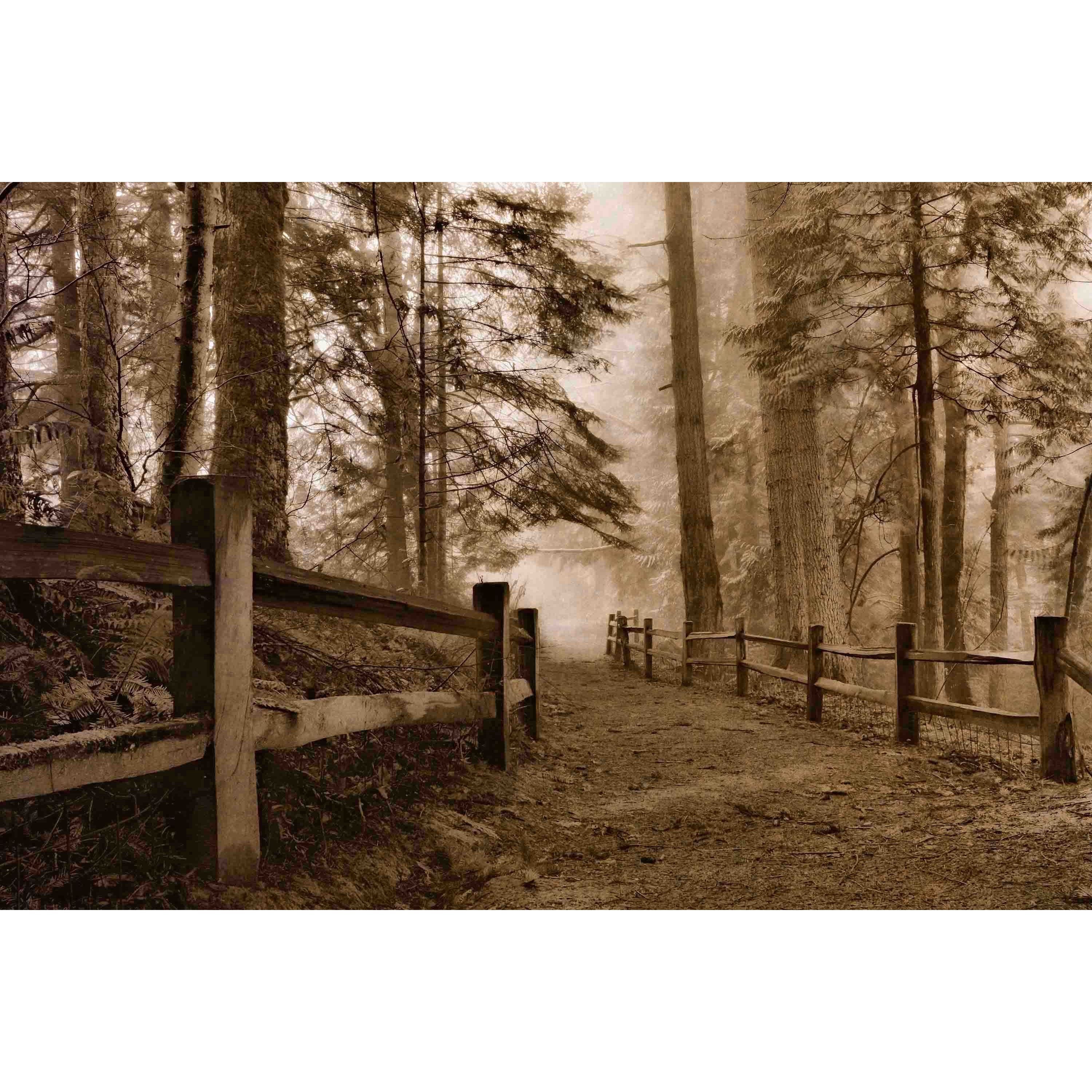 Marmont Hill "Down the Misty Path" Painting Print on Canvas