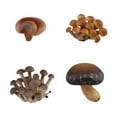 thumbnail image 1 of Juguete de simulación del ciclo de crecimiento de los hongos CUTICAT Material didáctico Hongos marrones, 1 of 8