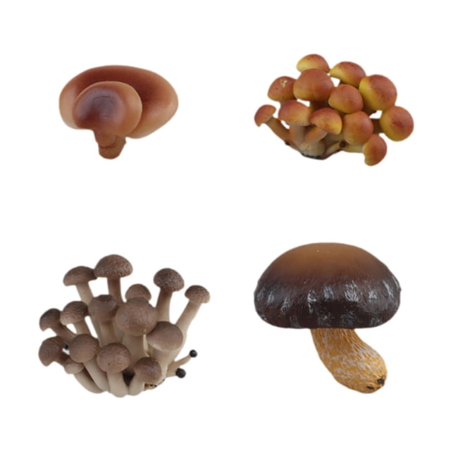 Juguete de simulación del ciclo de crecimiento de los hongos CUTICAT Material didáctico Hongos marrones