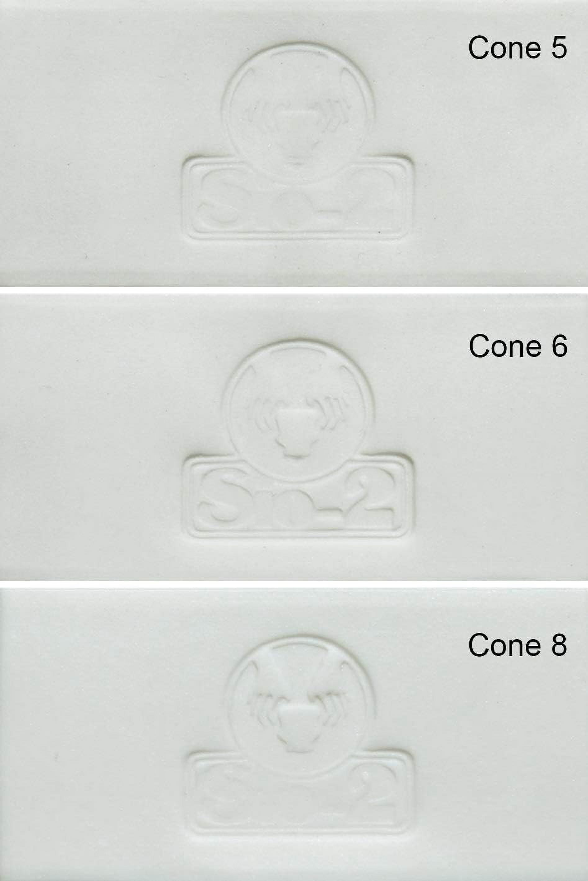 Sio-2 Aneto White Porcelain Clay - 11 lb