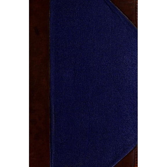 Pre-Owned Thomas Kinkade: Paintings of Radiant Light (Hardcover) 0789200821 9780789200822